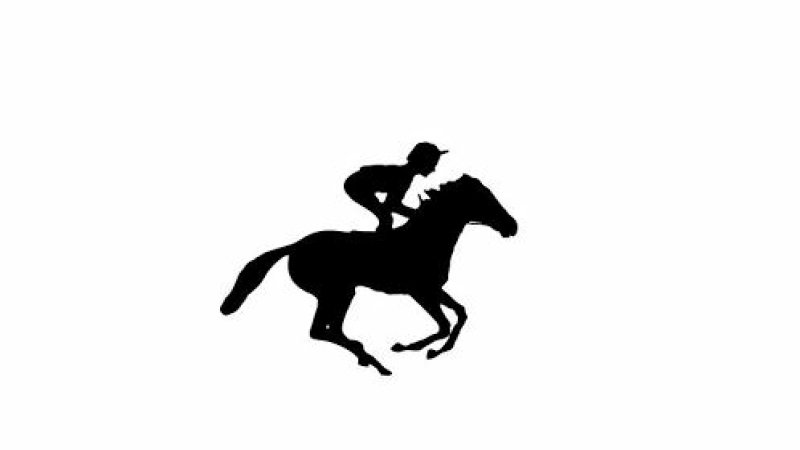 Assemblée générale de la société hippique du Fezensac