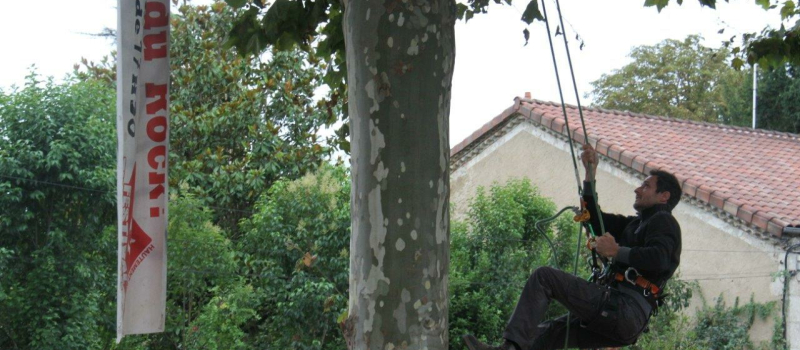 Vous souvenez-vous de Thomas Brail ?