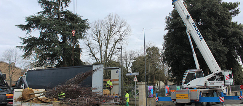 Arborisation au jardin Ortholan