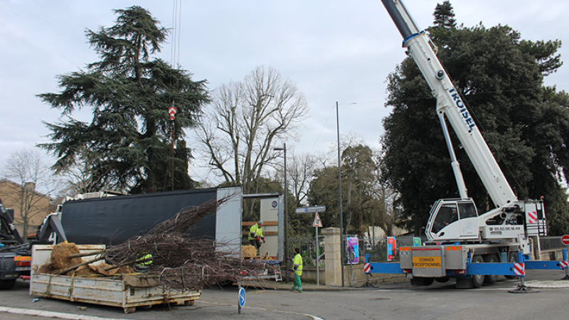 Arborisation au jardin Ortholan