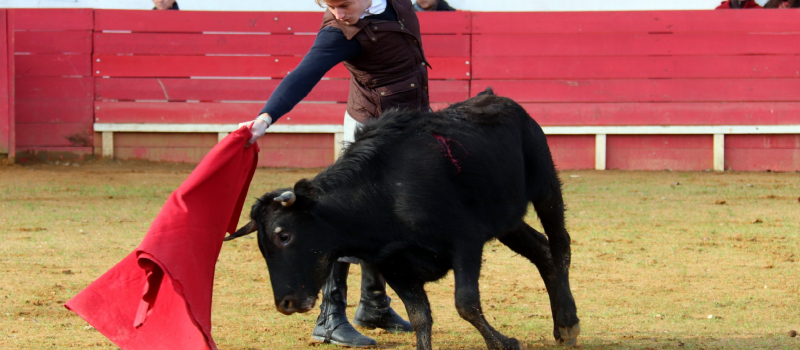 Belle journée de l'amicale des clubs taurins gersois
