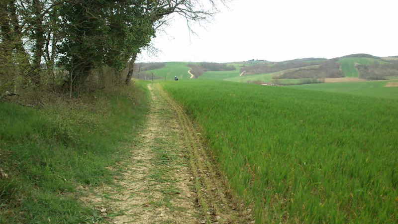 Municipales : l'appel des chemins