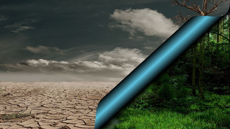 La Fresque du Climat, qu'est-ce que c'est exactement ?