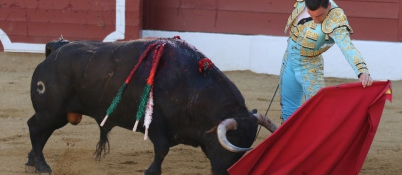 Échos du callejon