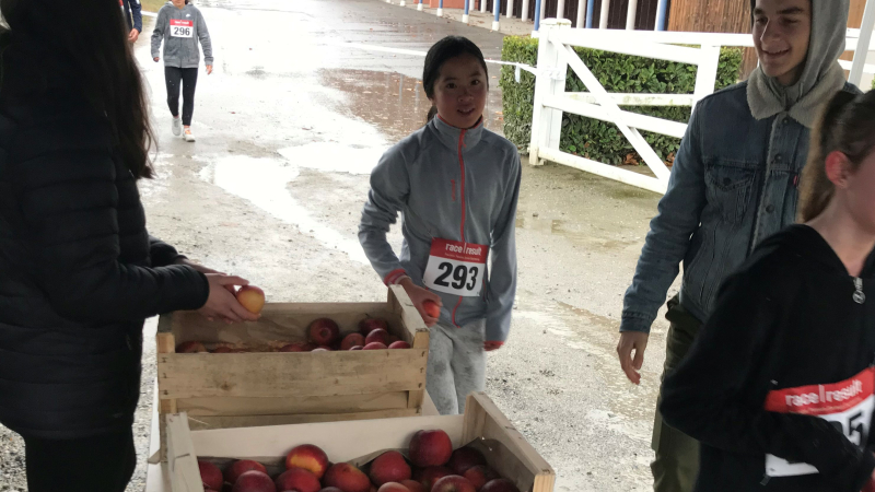 Le nouveau conseil départemental du sport scolaire est installé