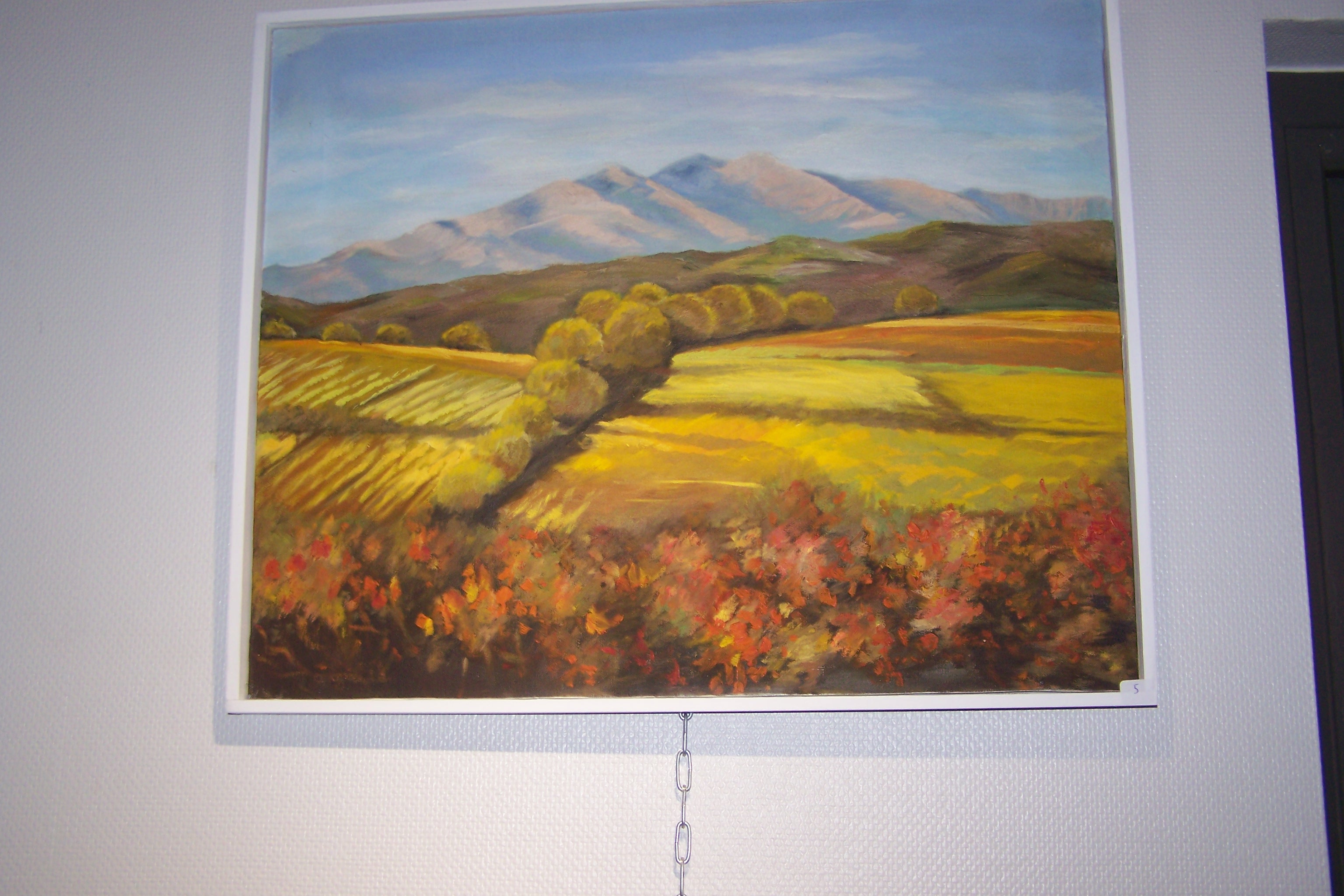 Le Canigou au printemps