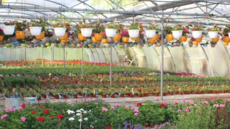 Une jardinerie bio unique dans le Gers et des plants de houblon