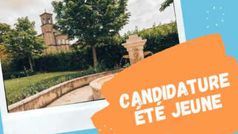 La possibilité de tester une première expérience professionnelle