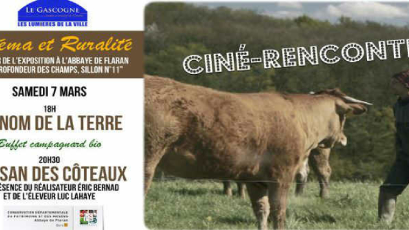 Cinéma et ruralité