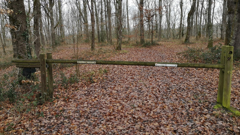 La Barklauch comme la Barkley !