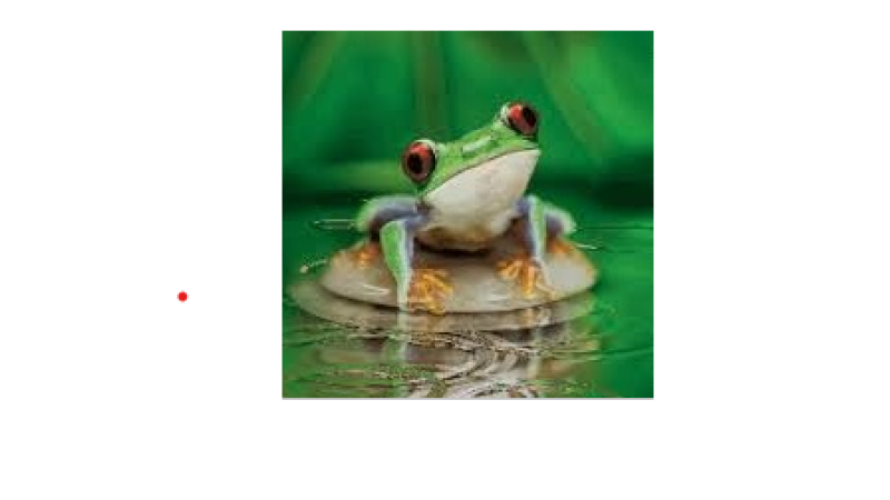 "Au fil de l'eau avec Grenouillette" suite et fin