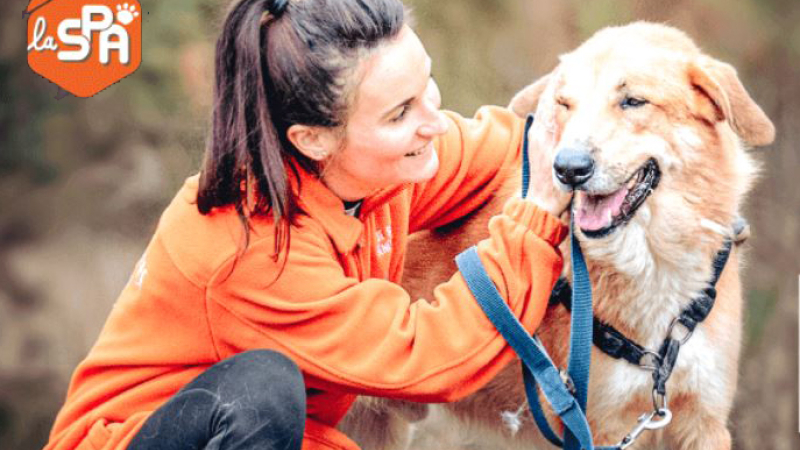 Les animaux ont-ils et transmettent-ils le COVID-19 ?