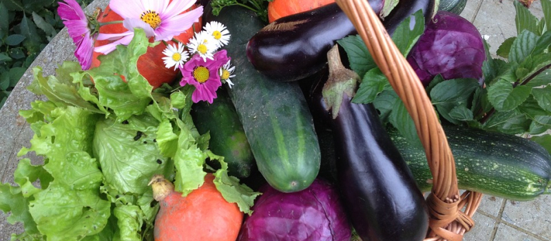 De bons produits frais locaux, c'est possible !