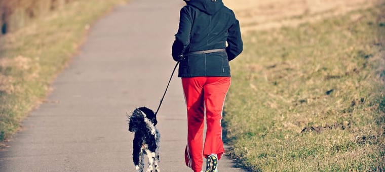 woman-person-jogging-dog.jpg