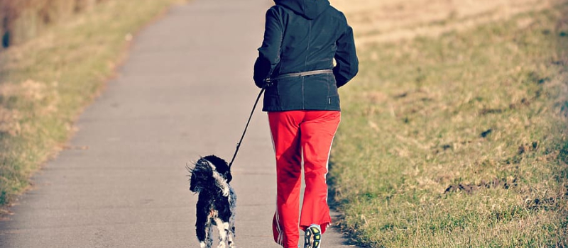 Partez faire votre jogging en toute tranquillité