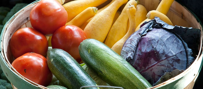 Les producteurs des marchés auscitains vont pouvoir distribuer fruits et légumes