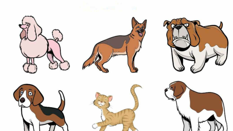 Trouvez l'intrus : du très facile pour les tout-petits