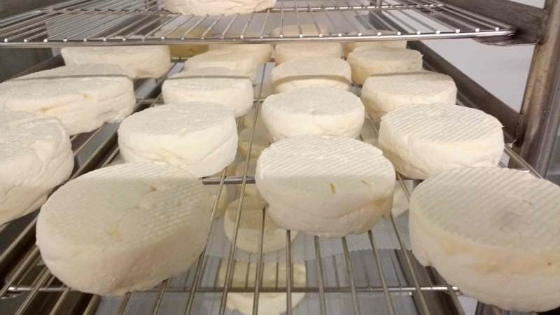 Avez-vous envie de fromage ?