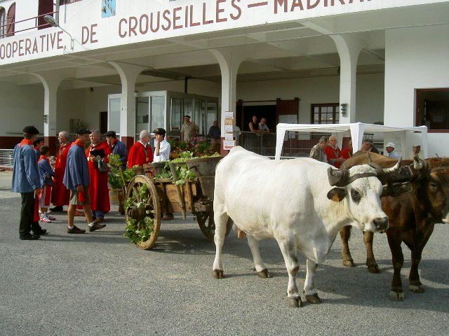 Photo archives Lionel Lemaire