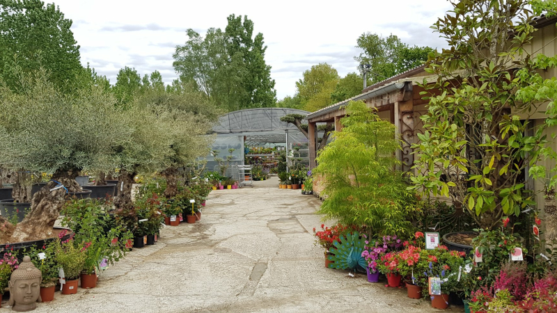 Des jardins qui n'auront jamais été si bien entretenus !