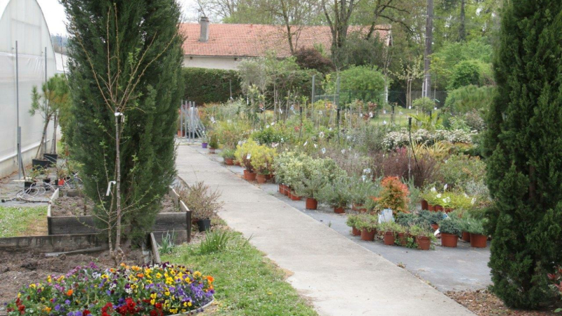 Les plants potagers sont nos aliments des mois prochains