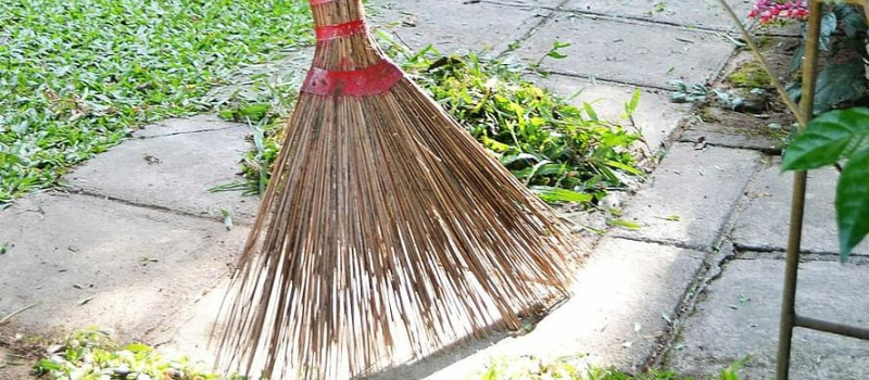 Un peu de légèreté ... une courte histoire pour chaque jour de la semaine