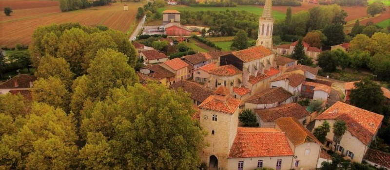 Platane sauvé pour Les Amis du Patrimoine de Sarrant