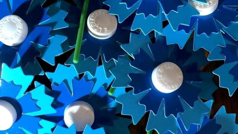 Bleuet de France : annulation des collectes  