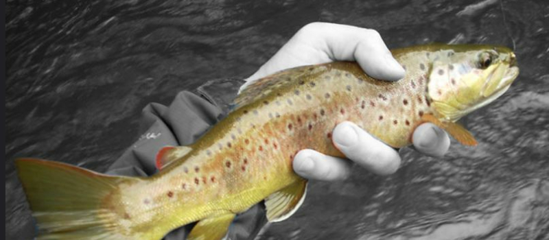Reprise de la pêche: les pêcheurs gersois impatients