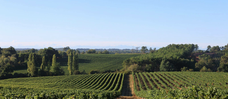 Ces paysages qui nous rapprochent...