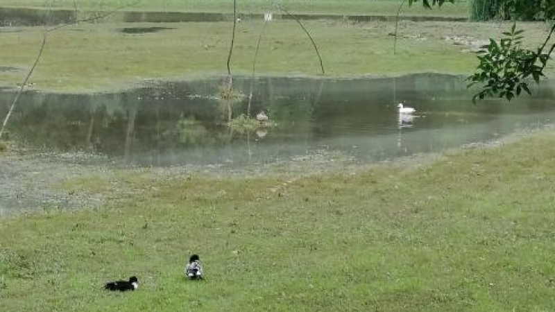 Une nouvelle aire de jeux pour les canards !