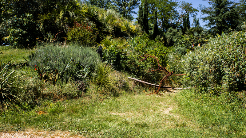 2e promenade dans la Palmeraie enchantée de Bétous 
