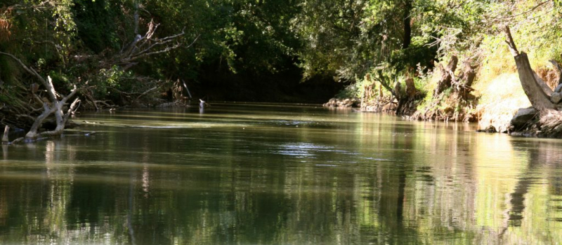 En flânant dans nos campagnes : de Vic à Beaucaire en suivant le cours de la Baïse