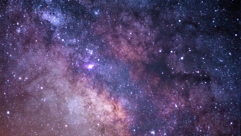 La Ferme des Étoiles s'ouvre au public dès aujourd'hui