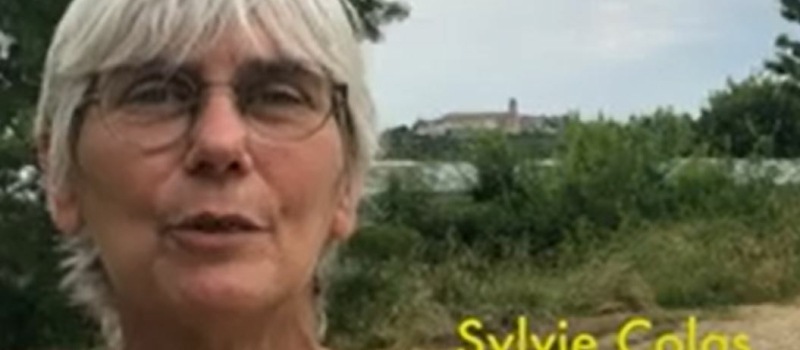 Sylvie Colas s'explique sur son maintien via une vidéo sur youtube