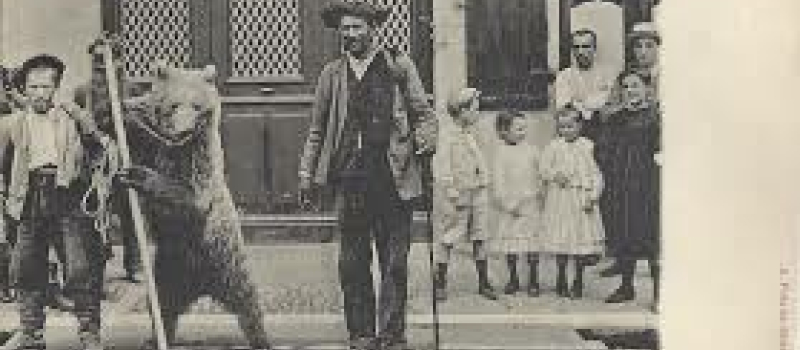 Quand l'ours était bête de foire....