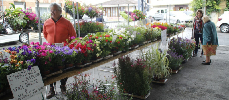 Le marché hebdomadaire s’étoffe