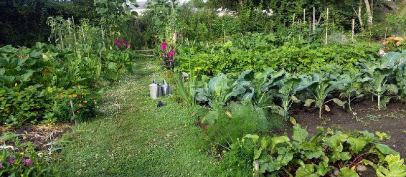 Histoires d'autrefois : le jardin "extraordinaire" du grand-père