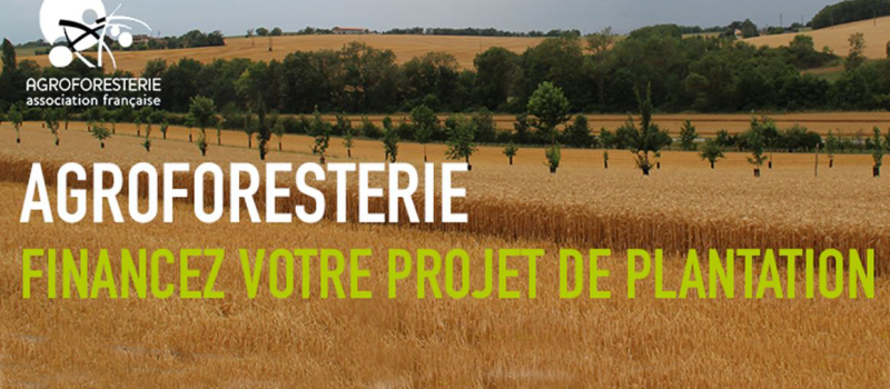 Soutien aux plantations agroforestières
