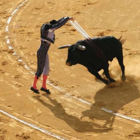 banderillero-bull-banderillas-pair-Avila-bullfight-Spain.jpg