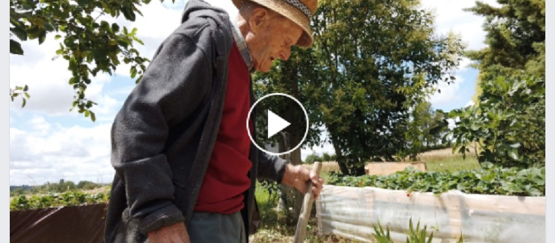 Vidéo - Le doyen du Gers, 106 ans, avec sa pioche au potager !