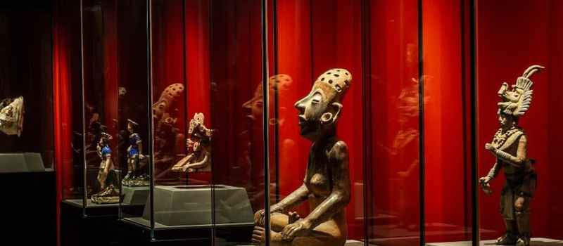 L'été au Musée des Amériques