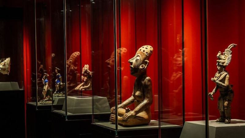 L'été au Musée des Amériques