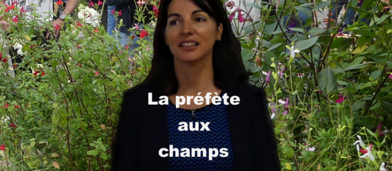 Catherine Seguin à la rencontre des producteurs locaux à Samatan