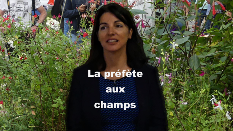 Catherine Seguin à la rencontre des producteurs locaux à Samatan