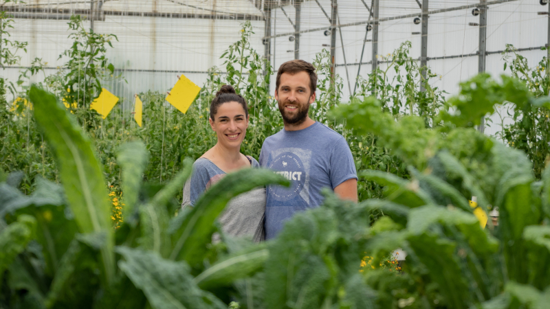 Et si l’on faisait pousser des plantes ou des légumes dans l’eau ?