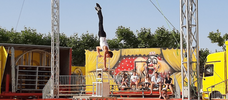 Le cirque franco-belge, une histoire de famille