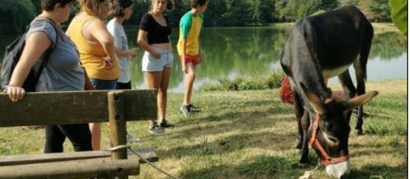Les jeunes s’investissent sur les bords de l’Adour