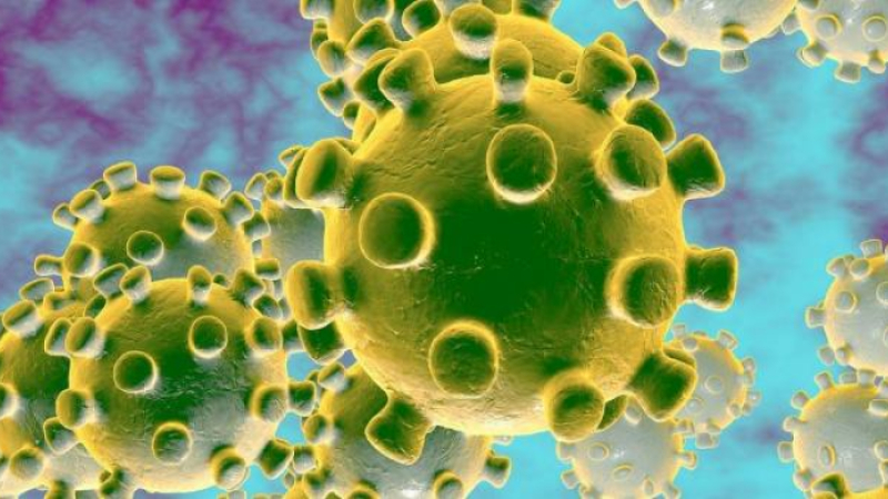 Coronavirus : six cas actuellement confirmés dans le secteur de l'Isle-Jourdain