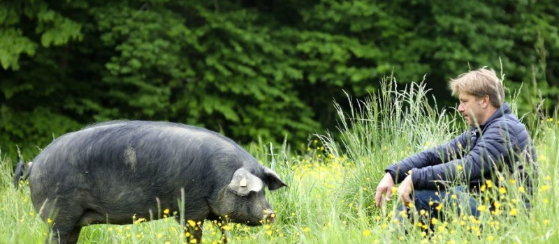 Le Porc Noir Gascon de Pierre Matayron